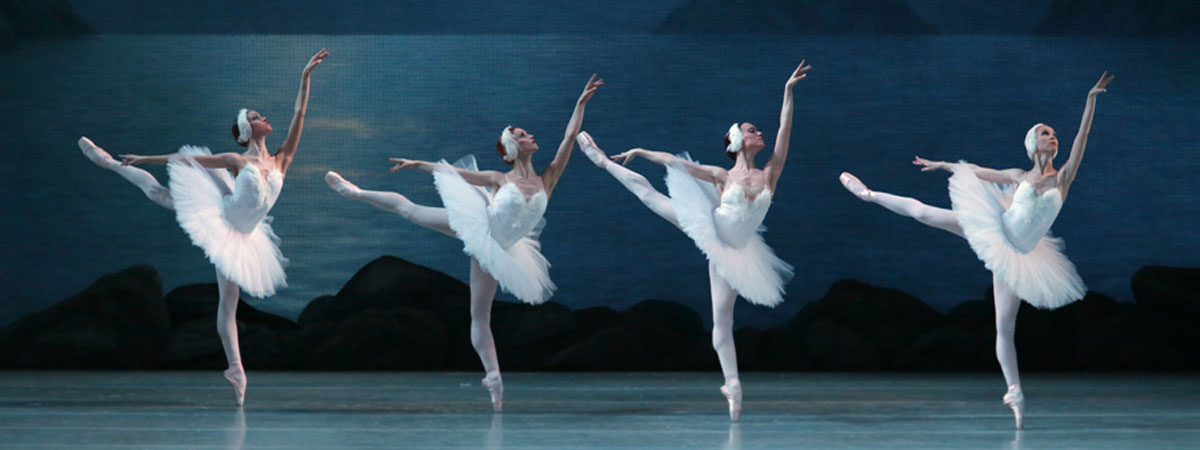 Resultado de imagem para black swan ballet
